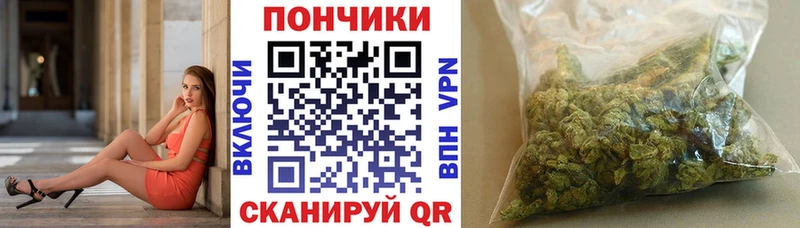 наркота  Гаджиево  Канабис тримм 